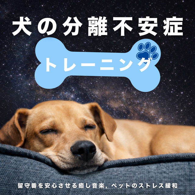 Dog Separation Anxiety Training - Relaxing Music for Staying Home Alone, Pet Stress Relief cover art