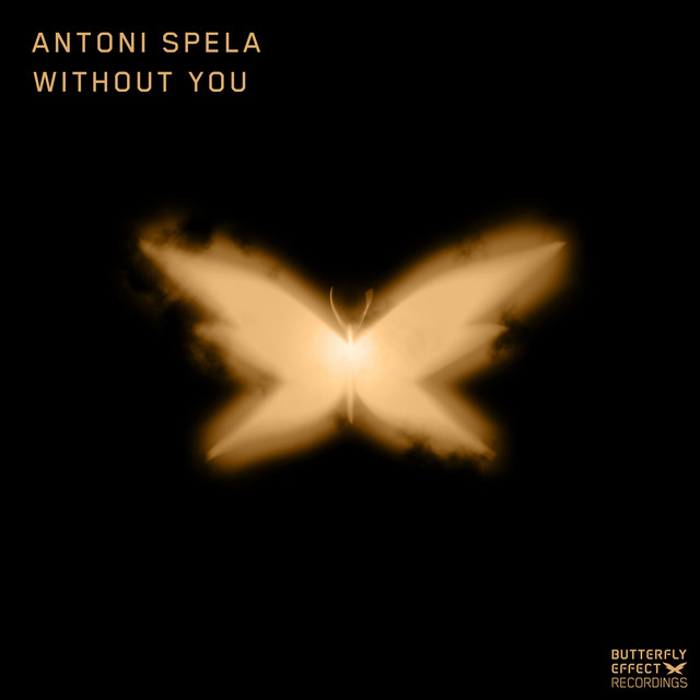 Without You - Extended Mix album art