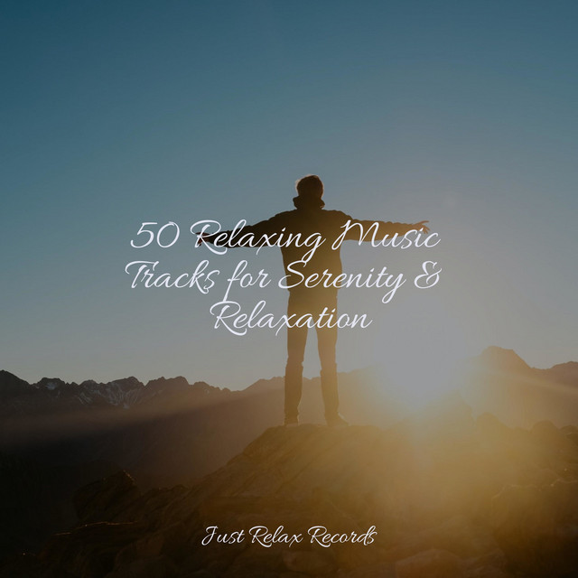 50 Relaxing Music Tracks for Serenity & Relaxation - Album by Música a ...