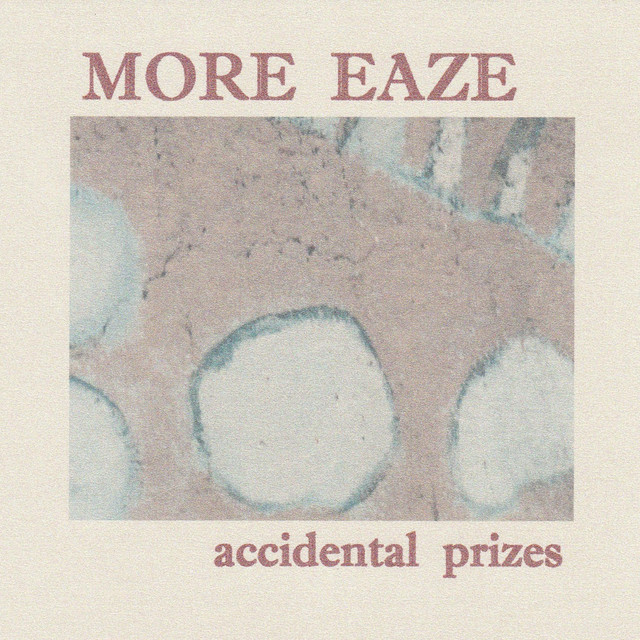 Accidental Prizes cover art
