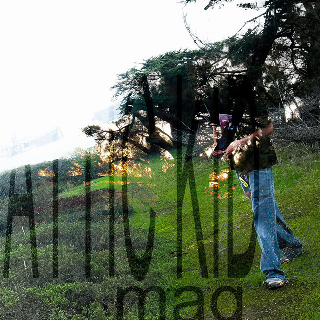 Attic Kid cover art