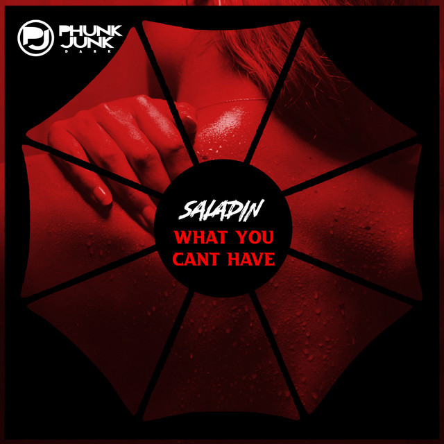 What You Can't Have cover art