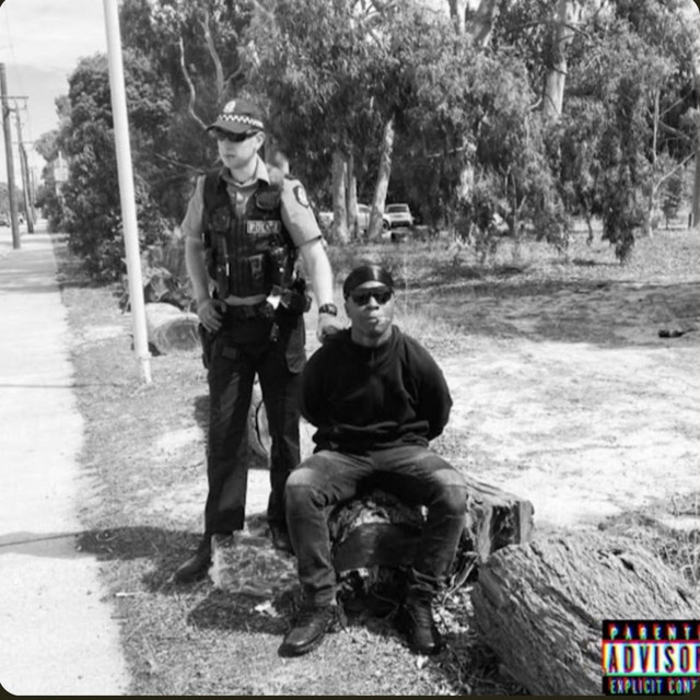 Diary Of A Pimpy Kid (RELOADED) cover art