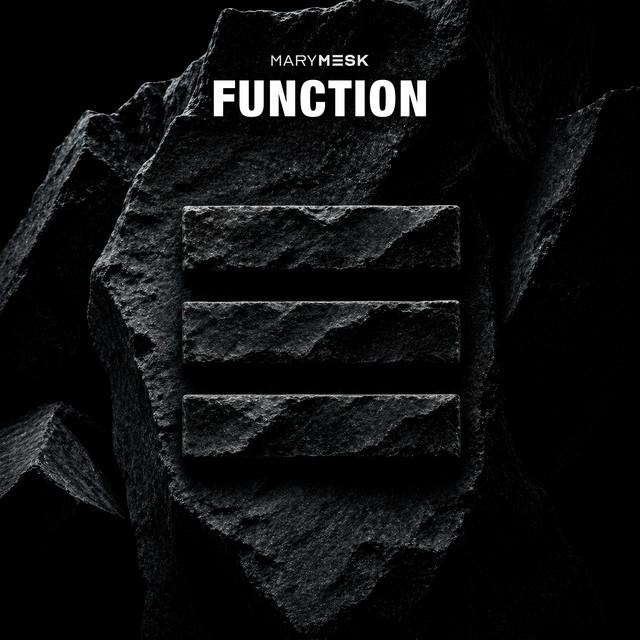 Pochette du titre Function
