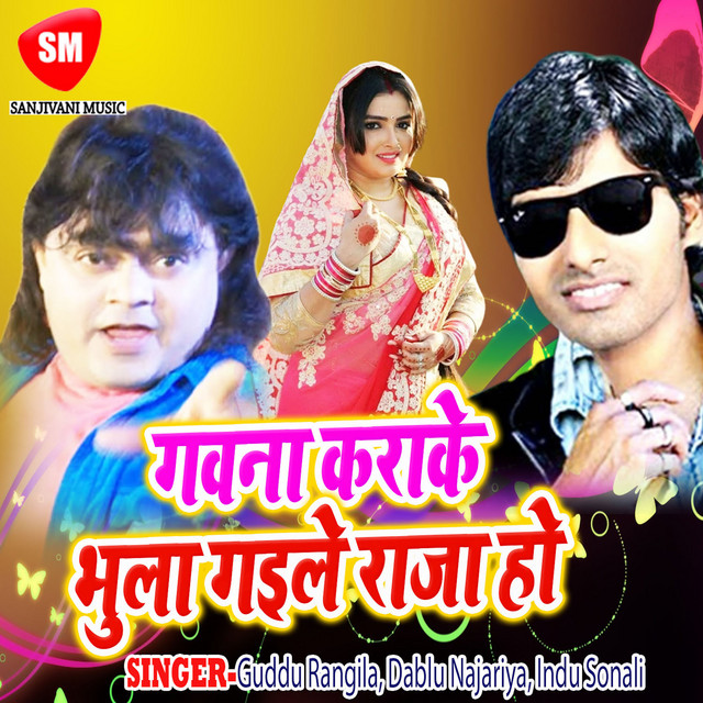 Gawana Karai Ke Bhula Gaile Raja Ho cover art