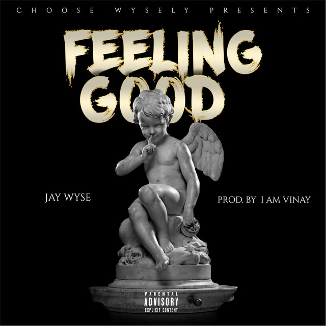Feeling Good - Single by Jay Wyse | Spotify