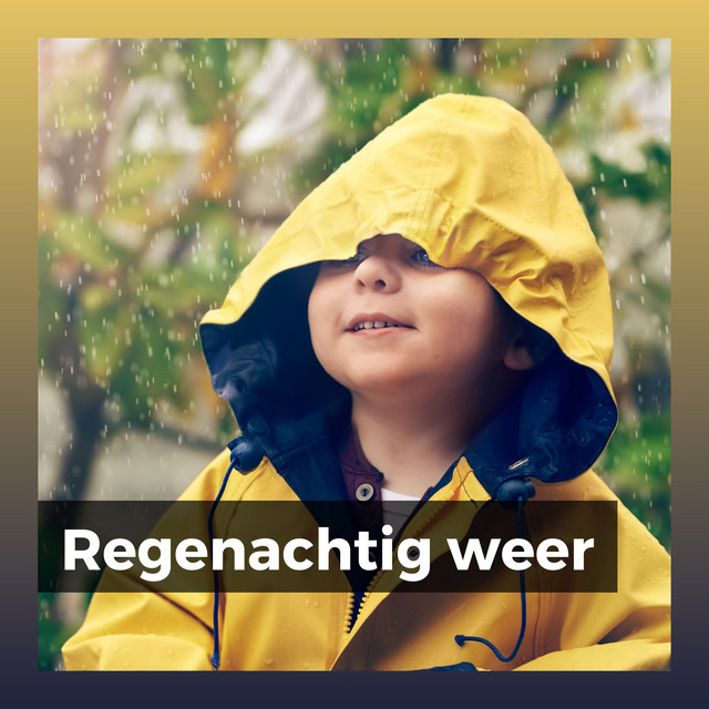 Regenachtig weer cover art