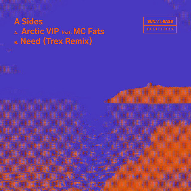 Arctic VIP ft. MC Fats / Need (Trex Remix) artwork