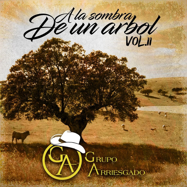 A la Sombra de un Árbol, Vol. II (En Vivo) cover art
