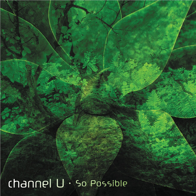 So Possible cover art