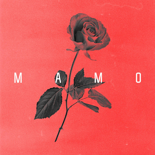 Cover art: Мамо — Гапочка