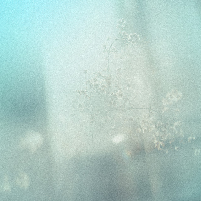 Solace by Abilene