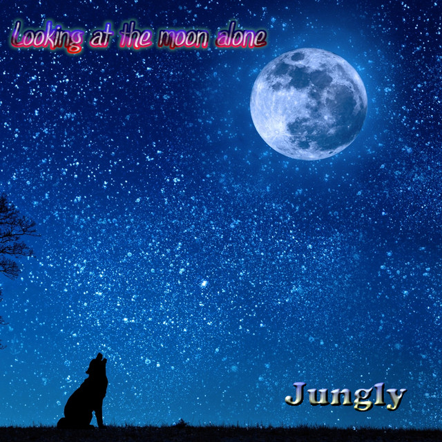 Looking at the moon alone cover art