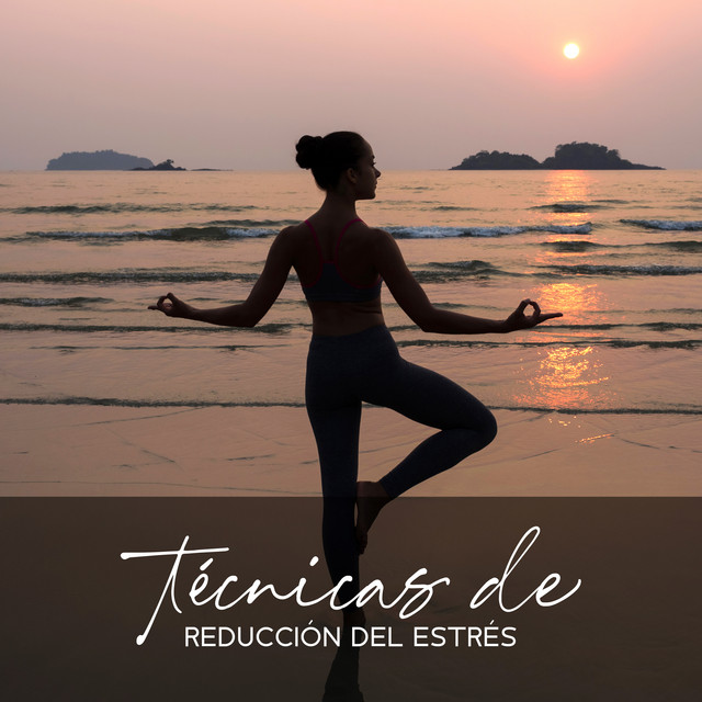 Técnicas de Reducción del Estrés: Kung Fu Yoga, Relajación Popular Asiática cover art