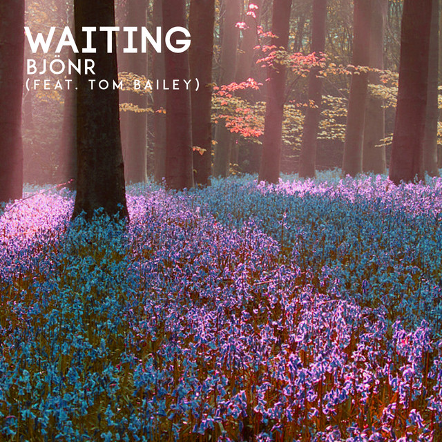 Waiting - Bjonr, Tom Bailey