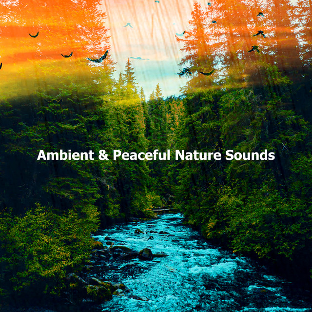 Ambient & Peaceful Nature Sounds ! ! ! - Album by Ambiente | Spotify