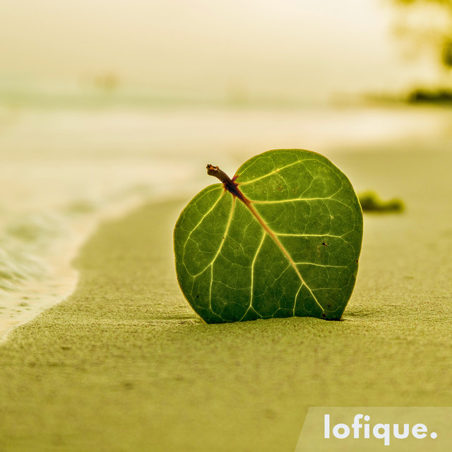 Serene Sands cover