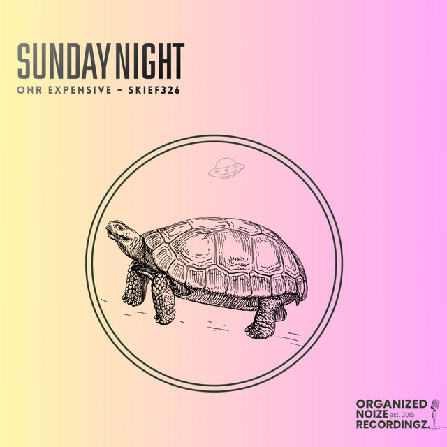Sunday cover