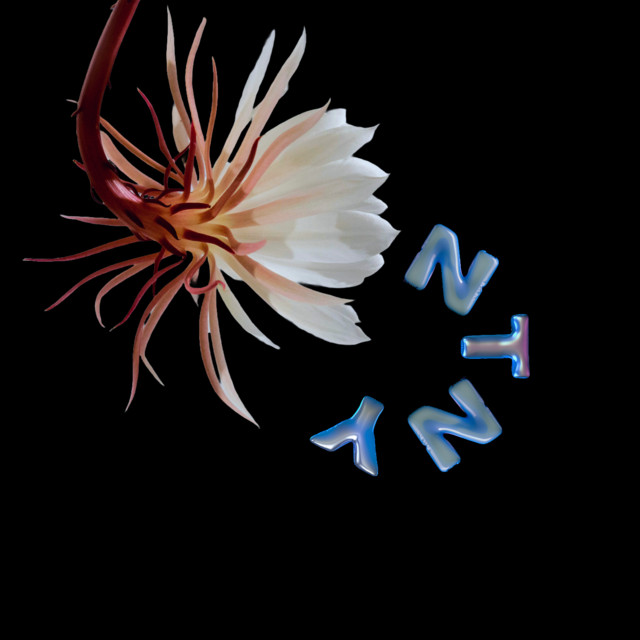 NTNY cover art