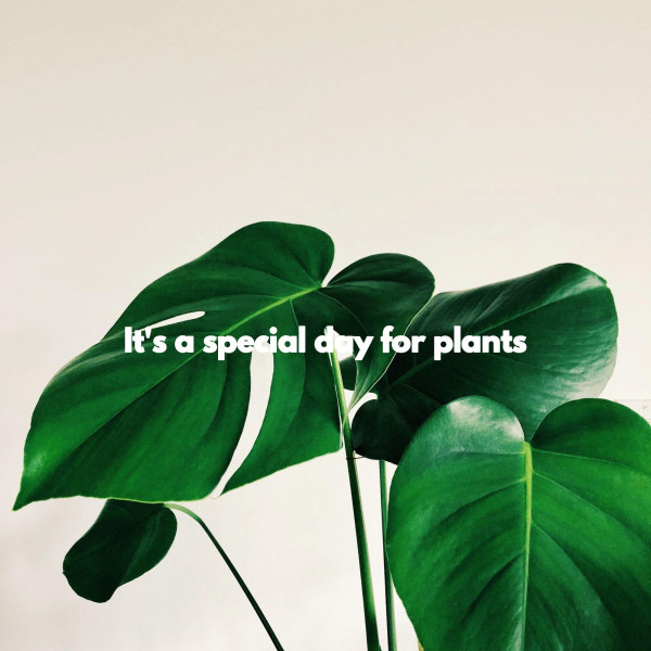 It's a special day for plants cover art