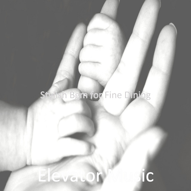 Stylish Bgm for Fine Dining cover art