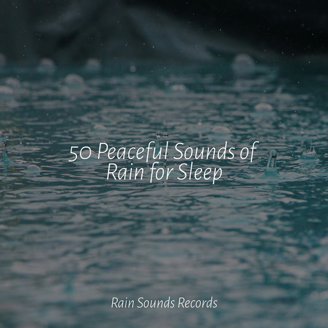 50 Peaceful Sounds of Rain for Sleep - Album by Anxiety Relief | Spotify