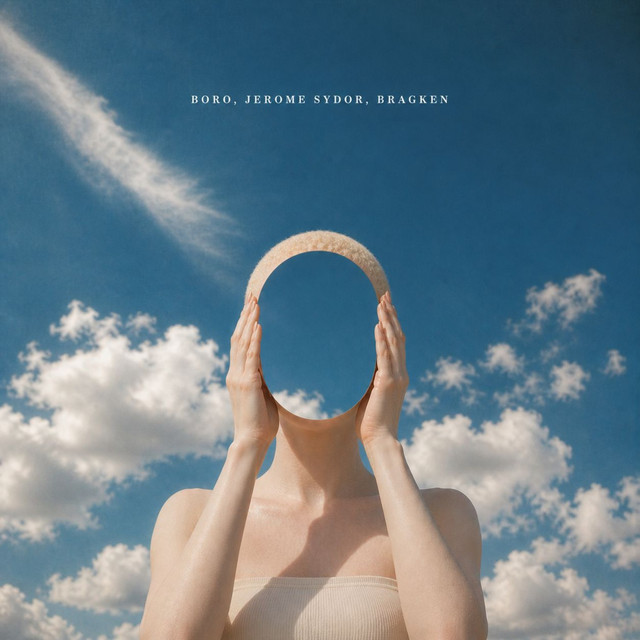 Mirror cover