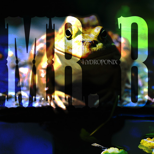 Mr. B cover