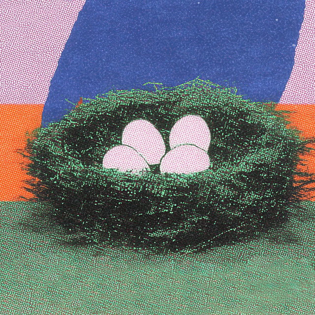 eggs