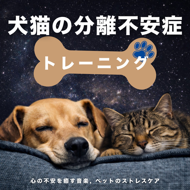 Dog & Cat Separation Anxiety Training - Soothing Music for Anxiety, Pet Stress Care cover art