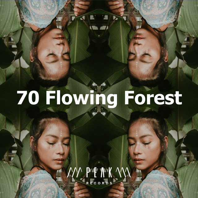 70 Flowing Forest - Album by Sleep Sounds of Nature | Spotify