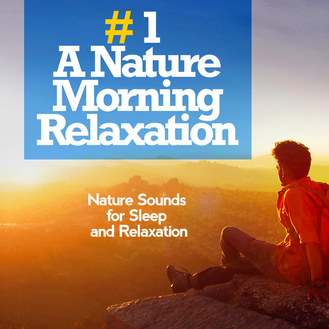 # 1 A Nature Morning Relaxation - Album by Nature Sounds for Sleep and ...