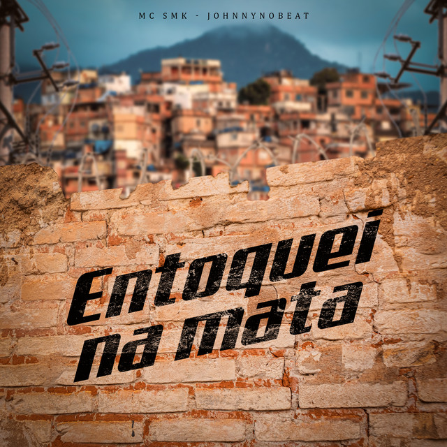 Entoquei Na Mata