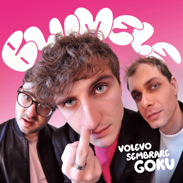 volevo sembrare Goku cover art