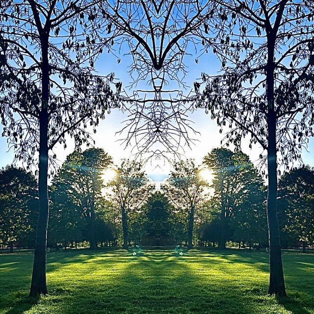 difference cover art