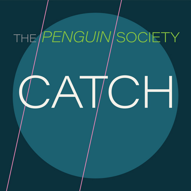 Catch cover