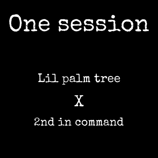 One Session - Single by Lil Palm Tree | Spotify