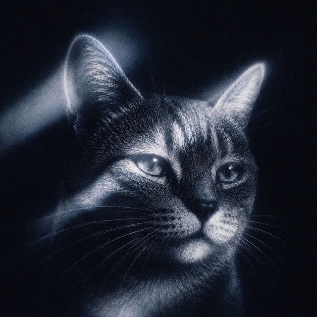 I Like Your Cat artwork