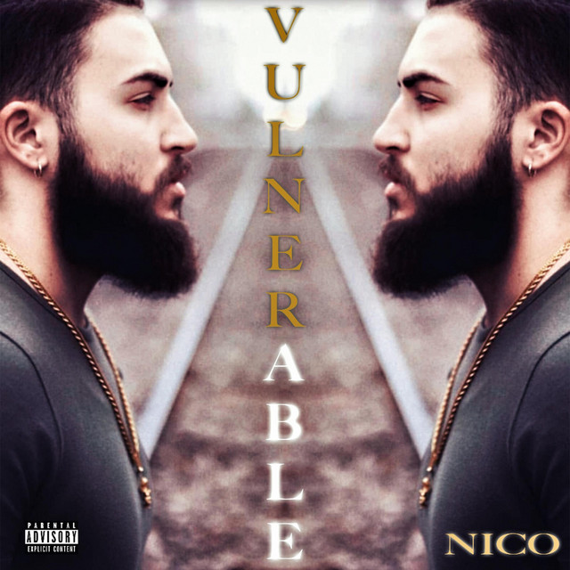 Vulnerable cover art