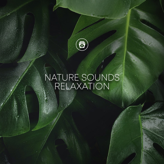 Nature Sounds Relaxation cover art