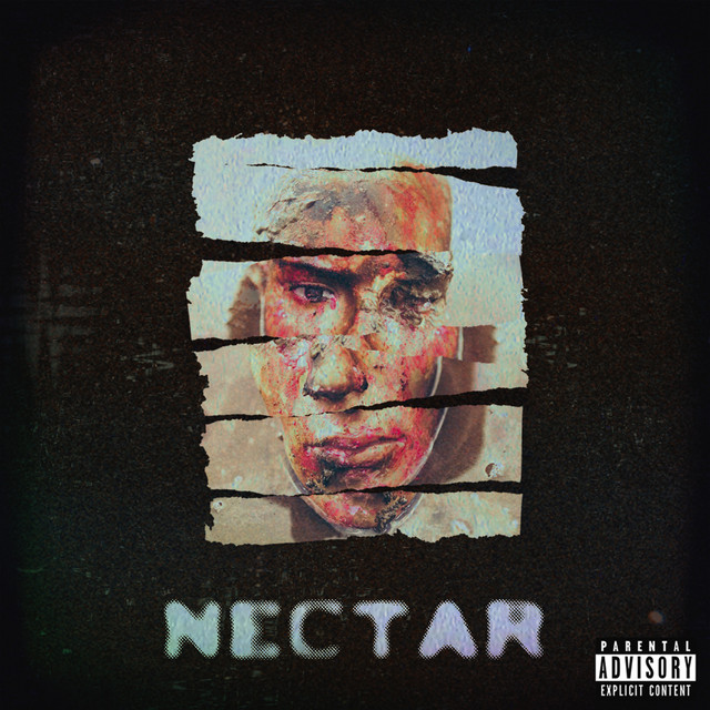 Nectar cover art