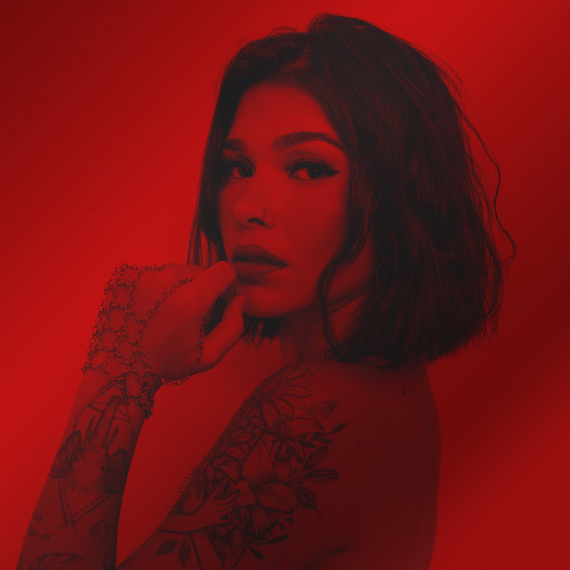 Capa de Aborta a Missão - Lary