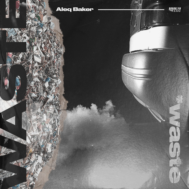 Обкладинка: Waste — Aleq Baker