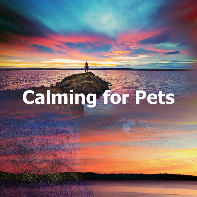 Calming for Pets cover art