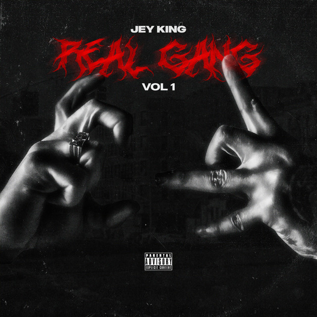 Real Gang Vol. 1 cover art