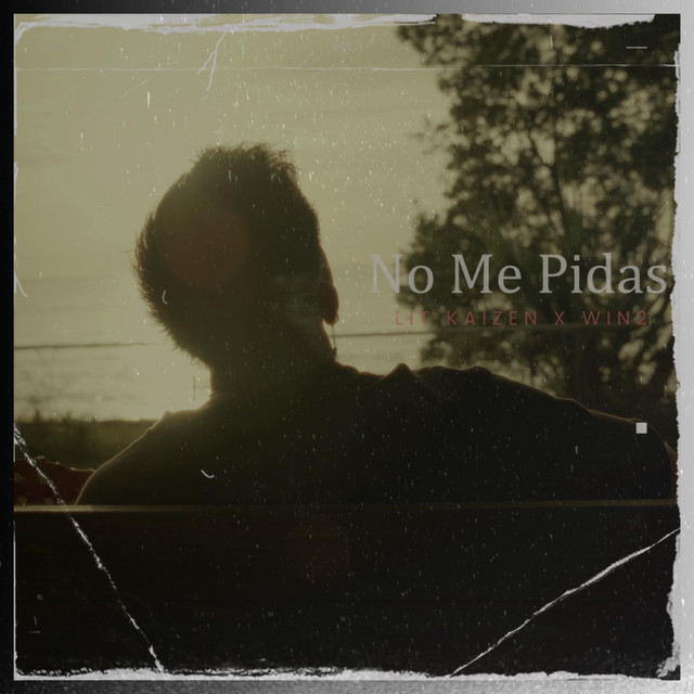 No Me Pidas