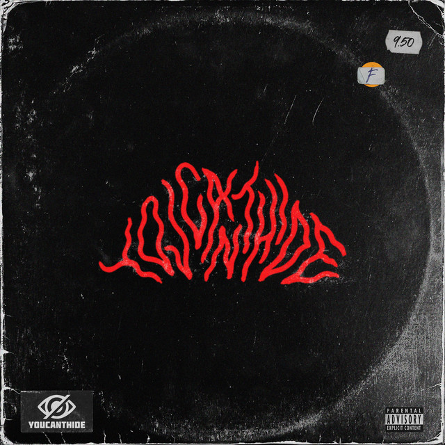 YOUCANTHIDE cover art