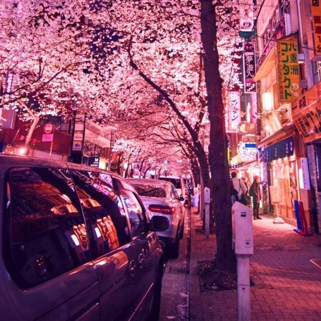 cherry road