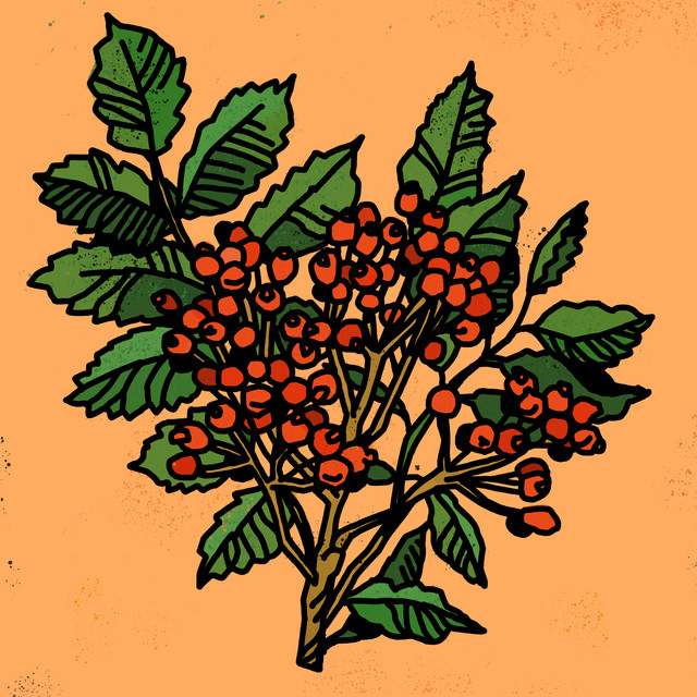Cold Coffee cover art