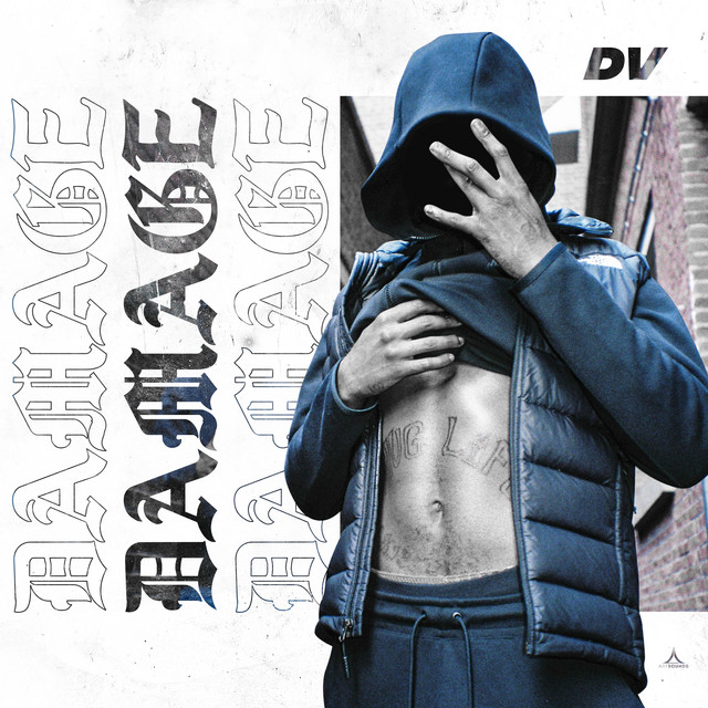 Damage cover art